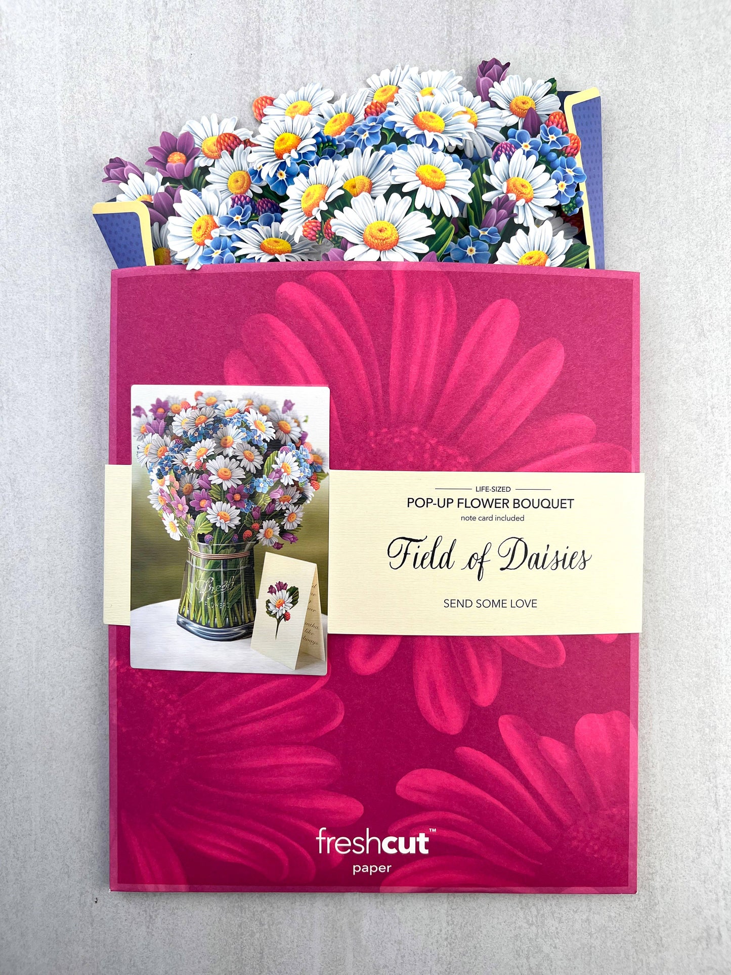Field of Daisies: Pop-up Greeting Card