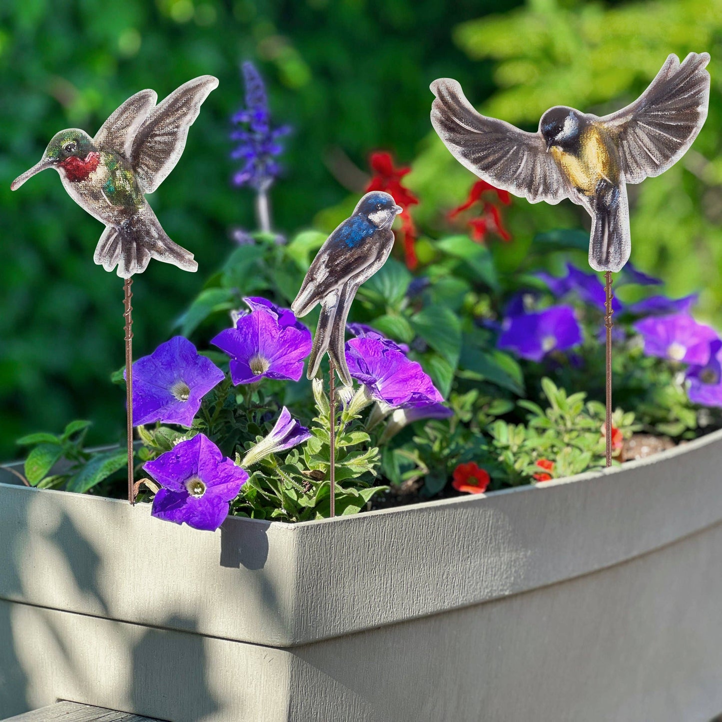 Birds Garden Picks