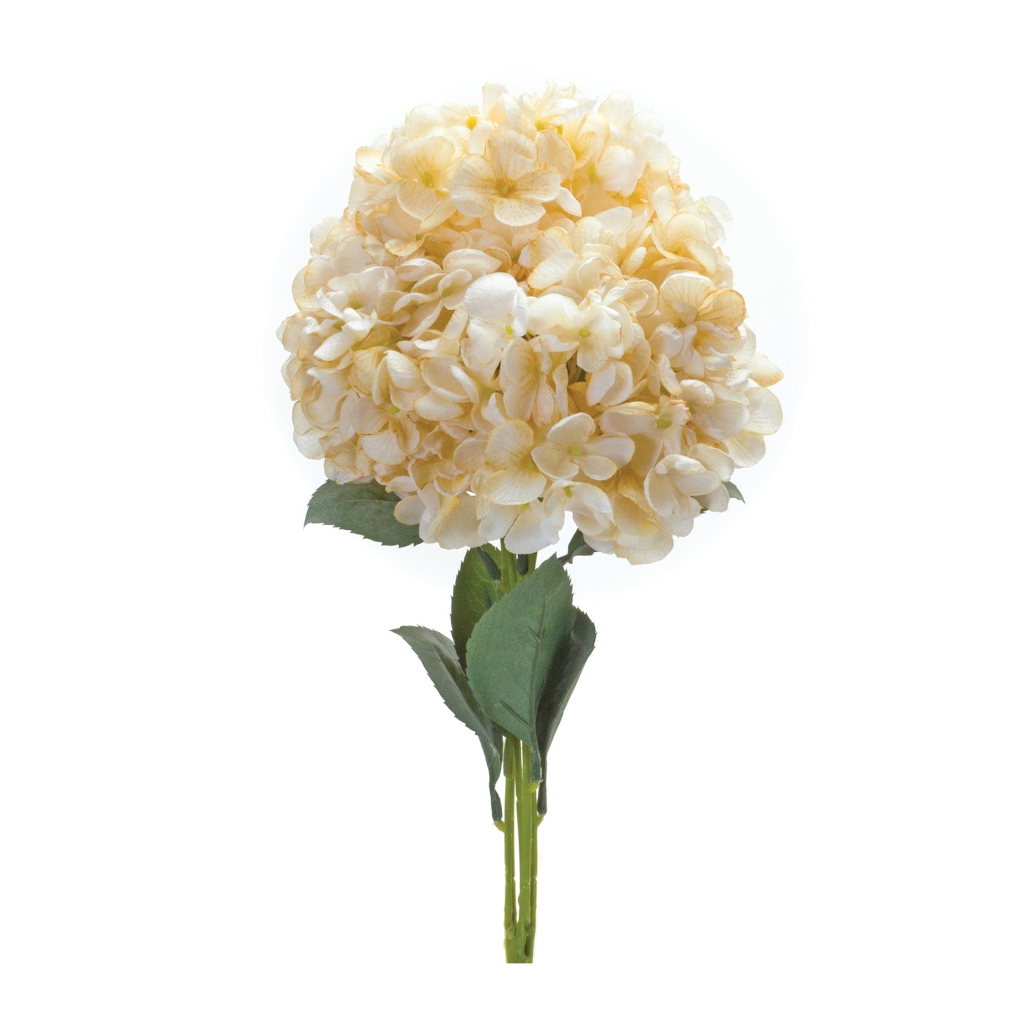 Hydrangea Stems (Set of 2)