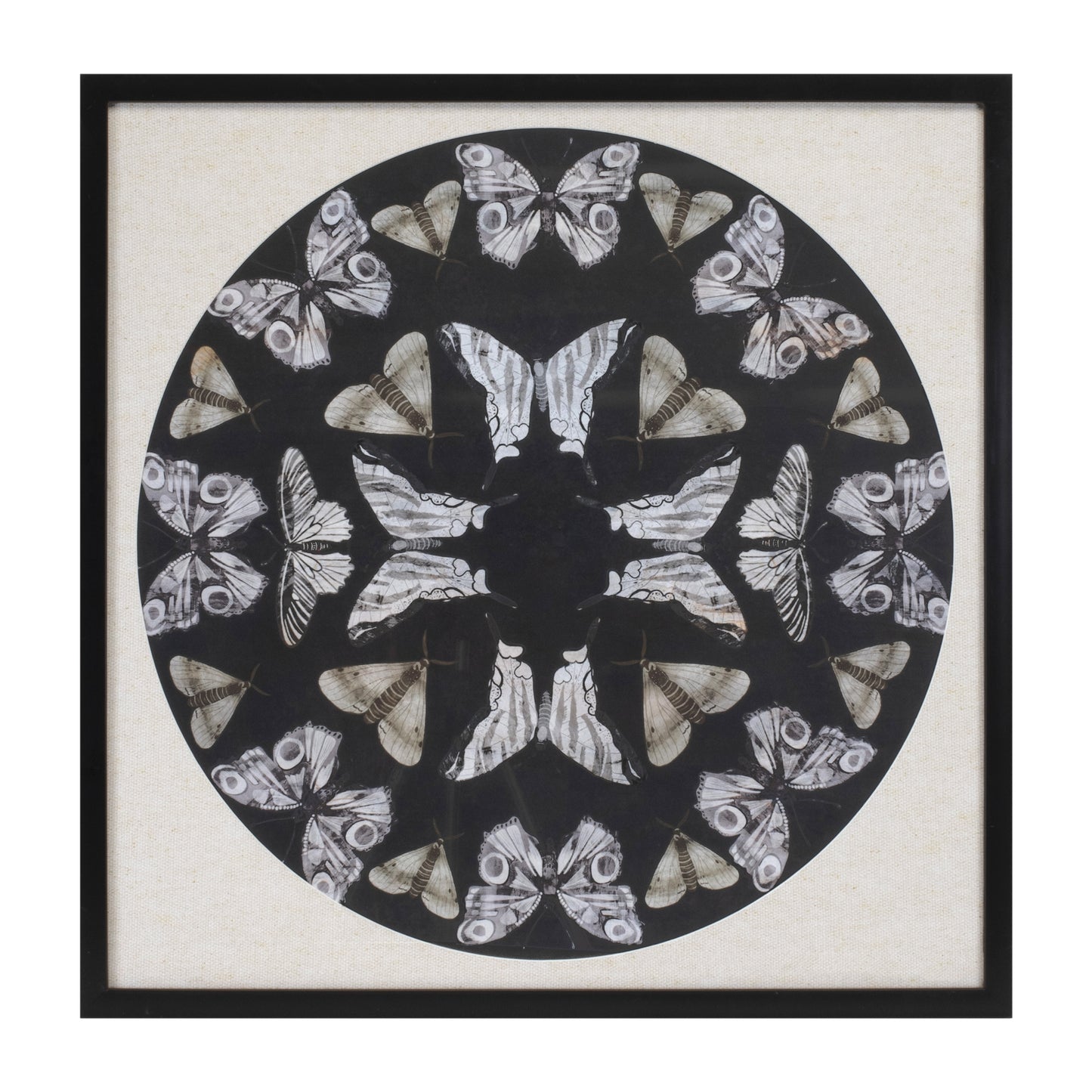Framed Butterfly Print 25"SQ