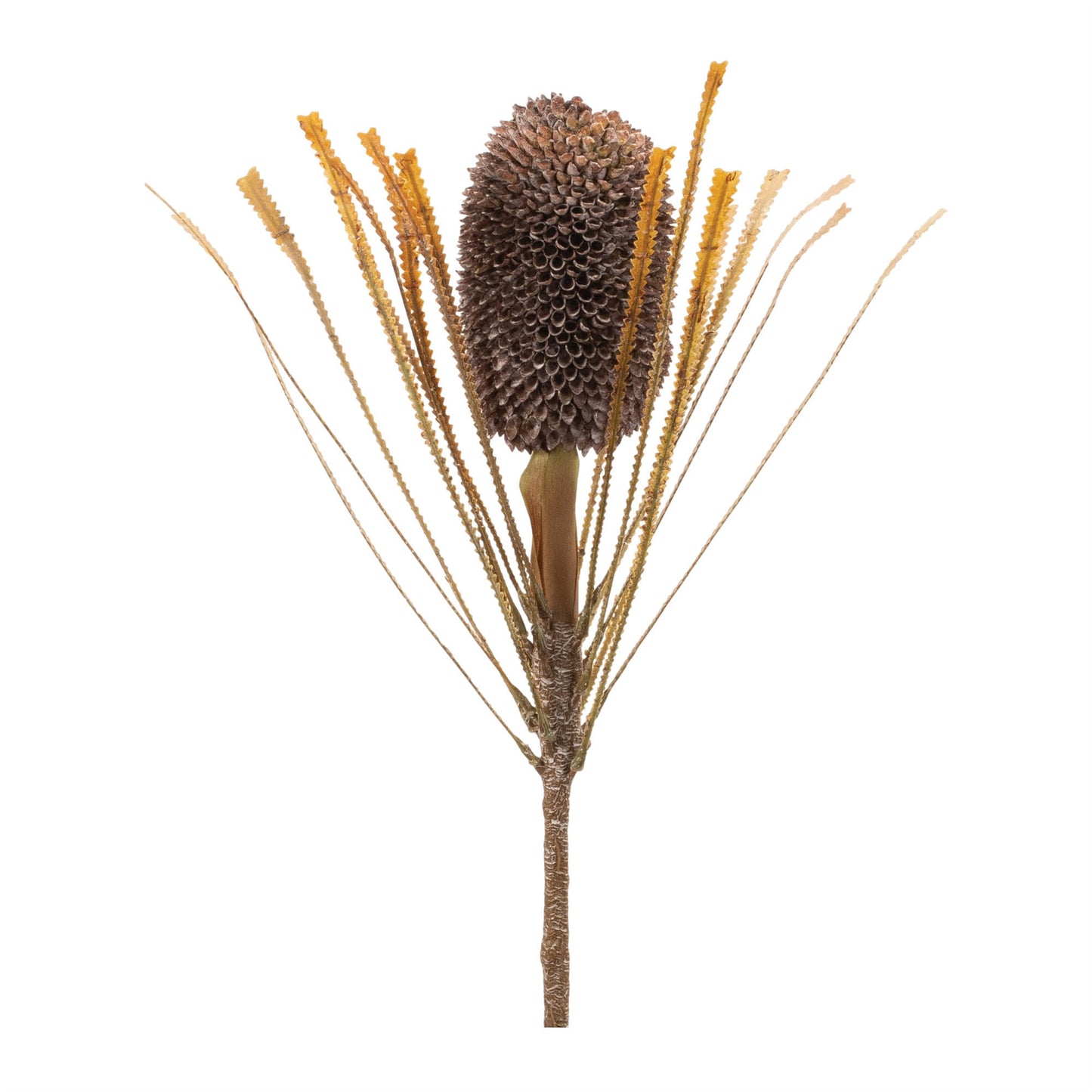 Banksia Stem (Set of 2) 28"H Plastic