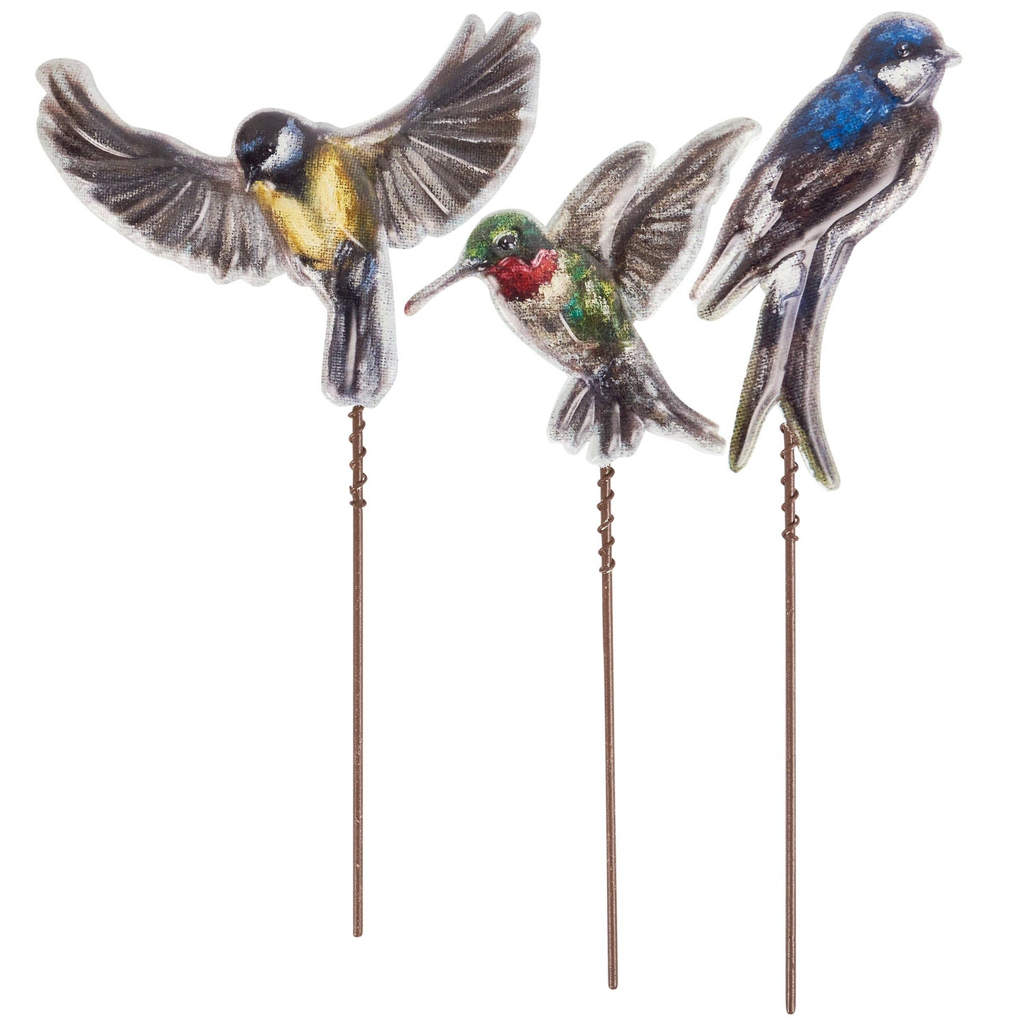 Birds Garden Picks