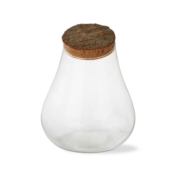 http://avantgardenauburn.com/cdn/shop/products/0005089_recycled-glass-slant-top-terrarium-clear_600.jpg?v=1681249319