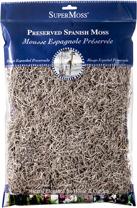 Preserved Spanish Moss- Natural