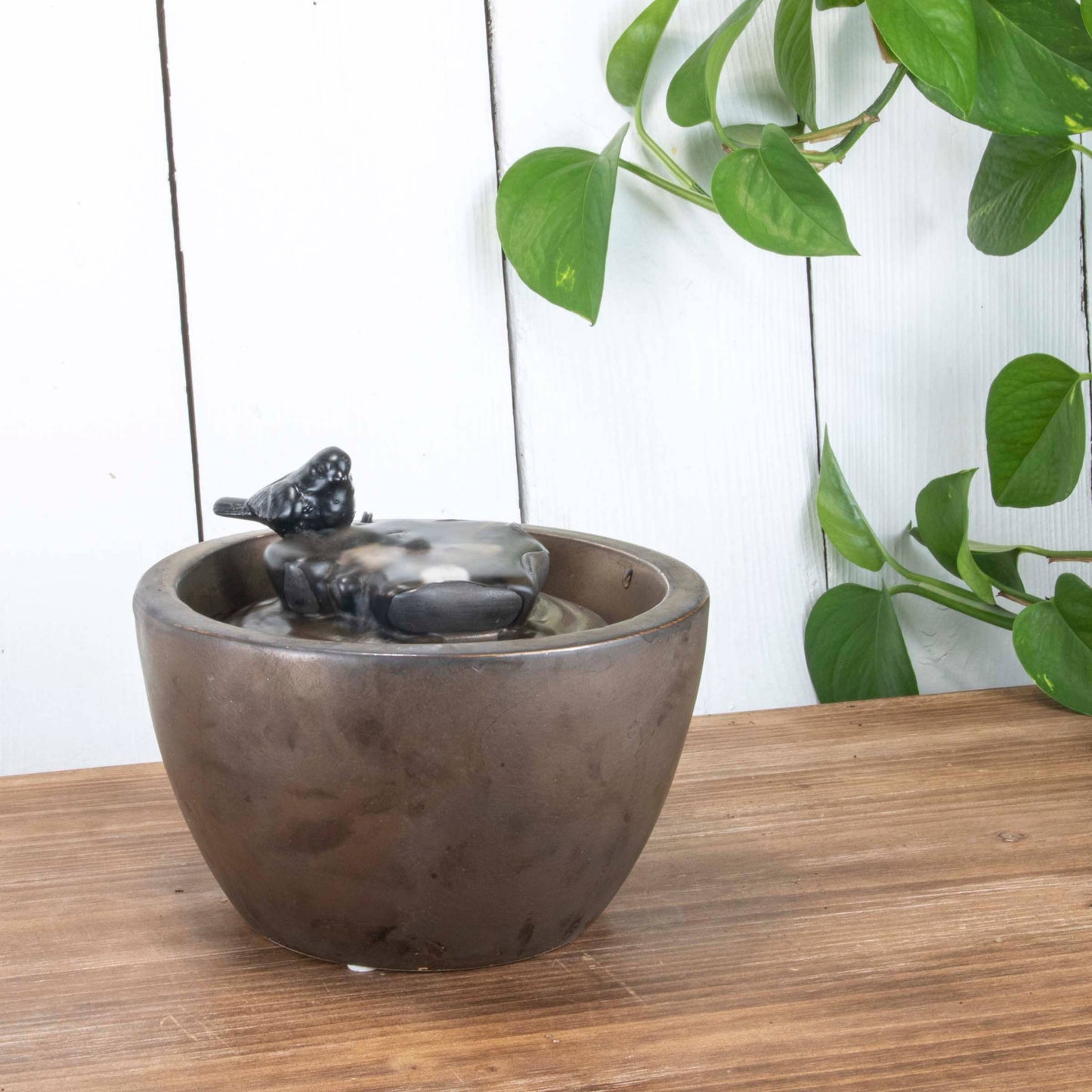 Bronze Bird on Leaf Mini Water Fountain