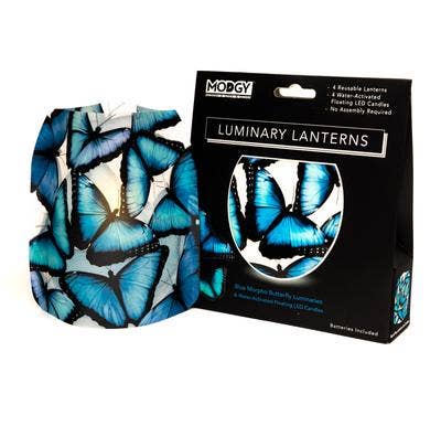 Luminary Lantern - Blue Morpho Butterfly