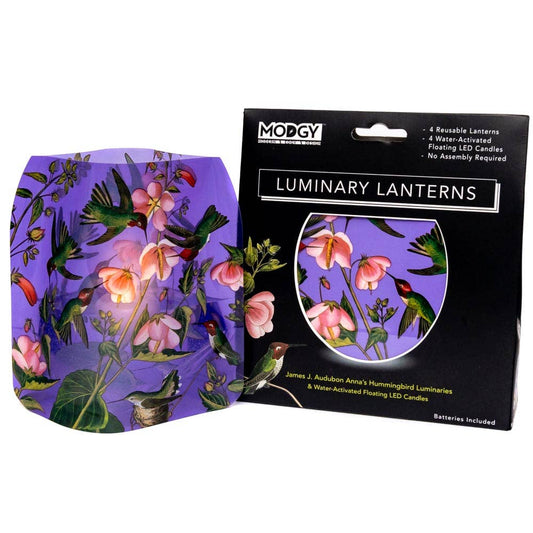 Luminary Lantern - Hummingbird