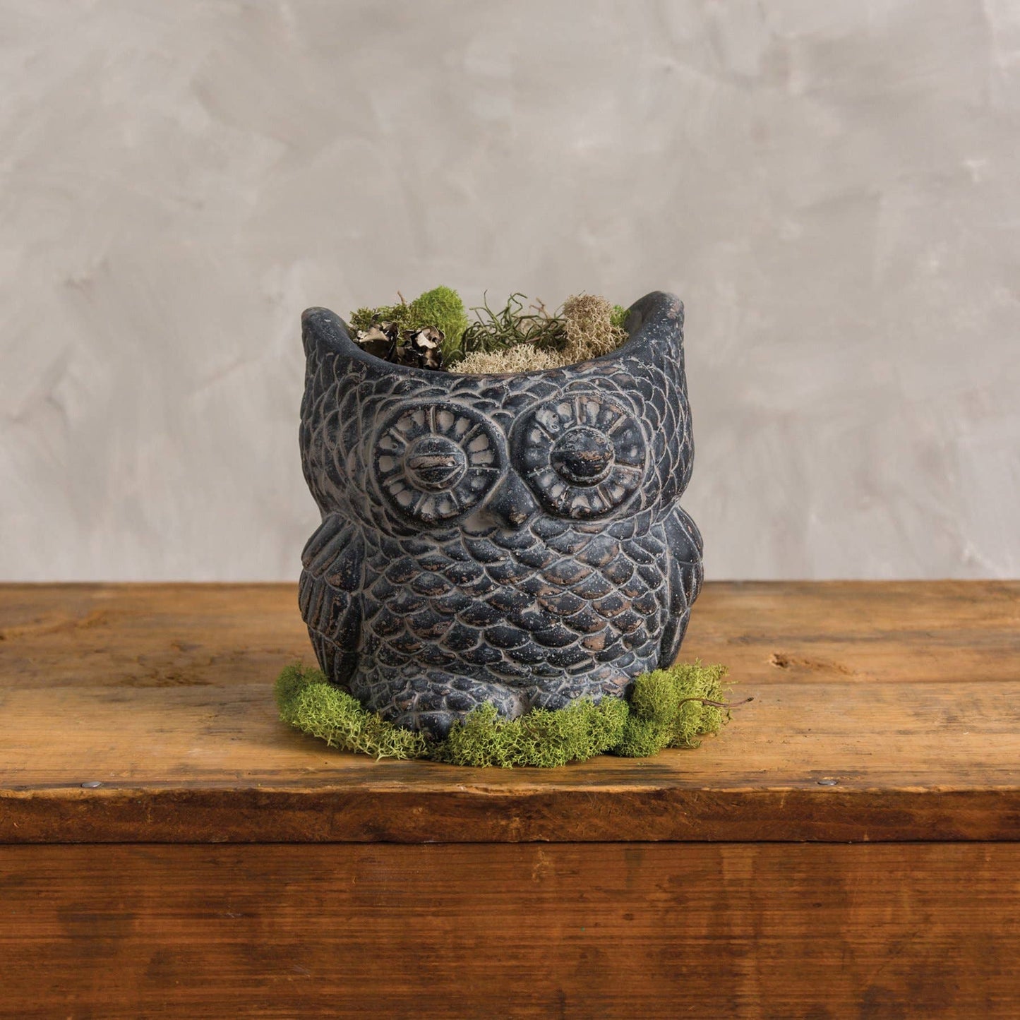 Cement Owl Planter