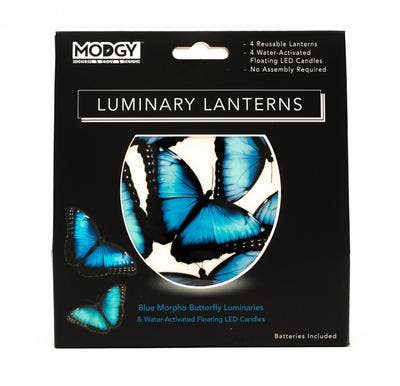 Luminary Lantern - Blue Morpho Butterfly