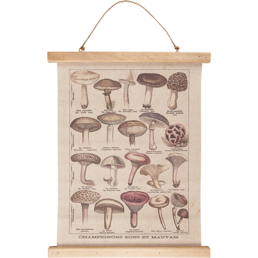 Mushroom Species Wall Decor