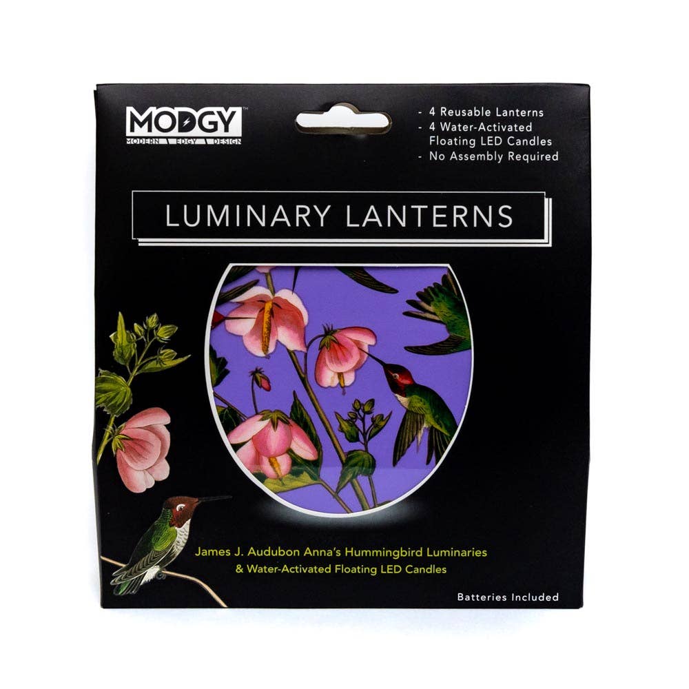 Luminary Lantern - Hummingbird