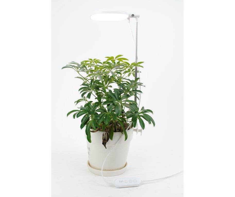 LED Grow Light with Timer