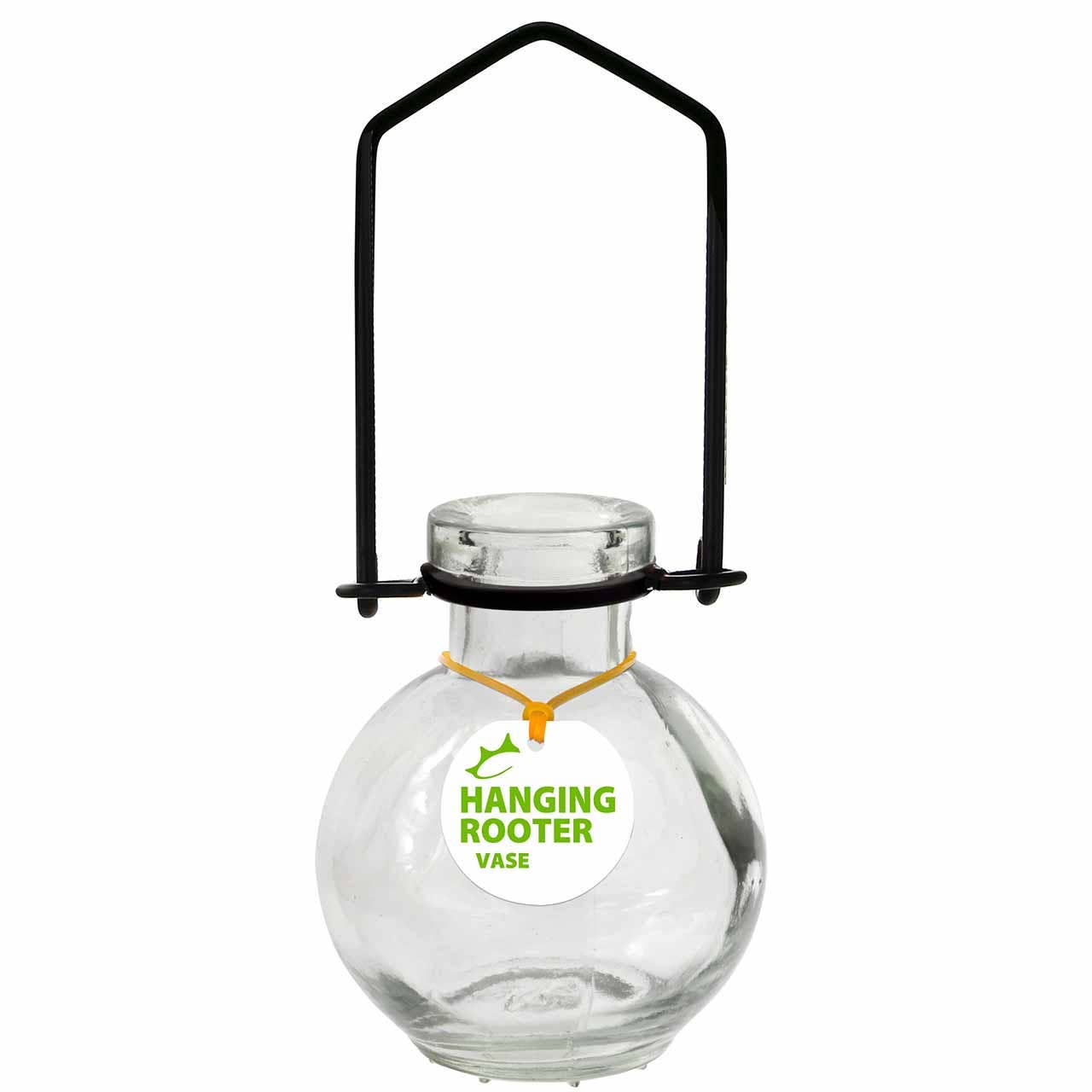 Recycled Hanging Glass Ball Rooting Vase