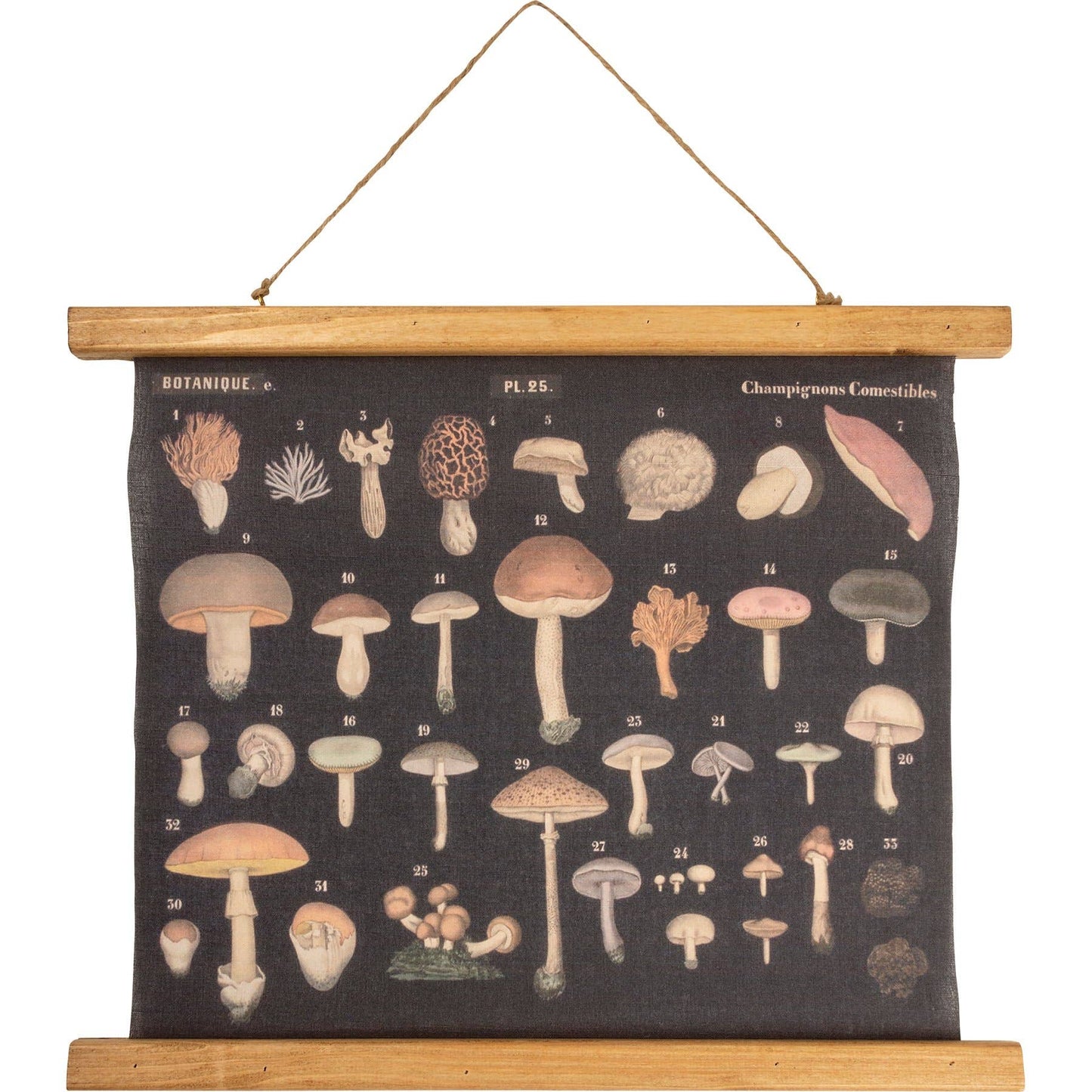 Mushrooms Wall Decor