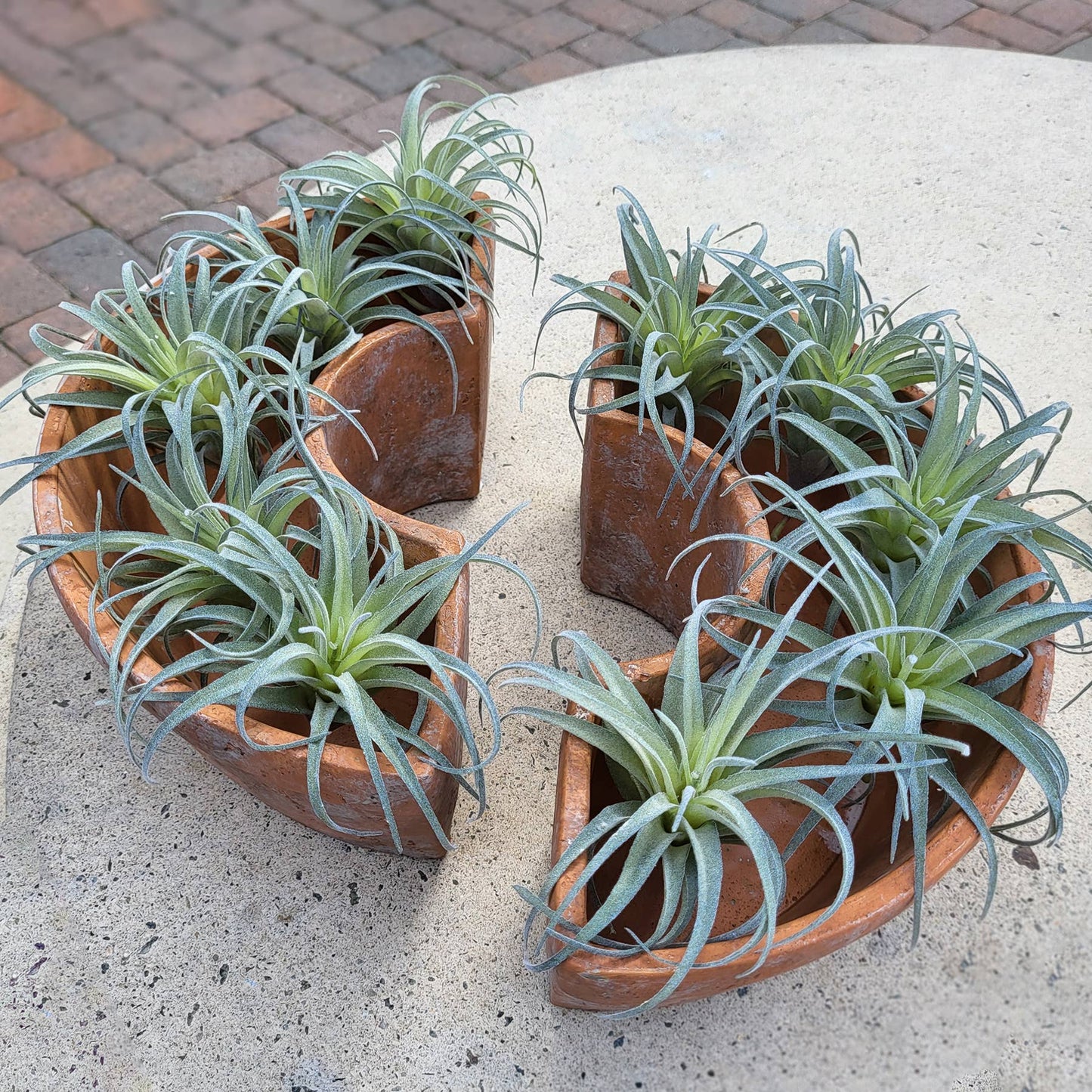 Tresco Rustic Umbrella Planter Cement