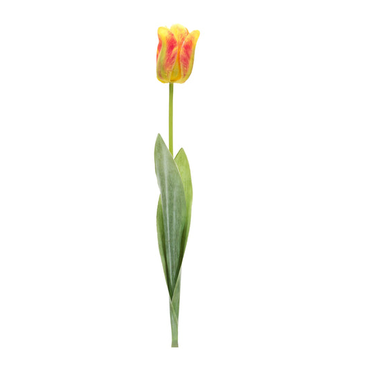 Tulip Floral Stems 27"H (Set of 6)