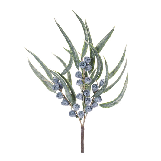 Winter Berry Pod Pick (Set of 6)