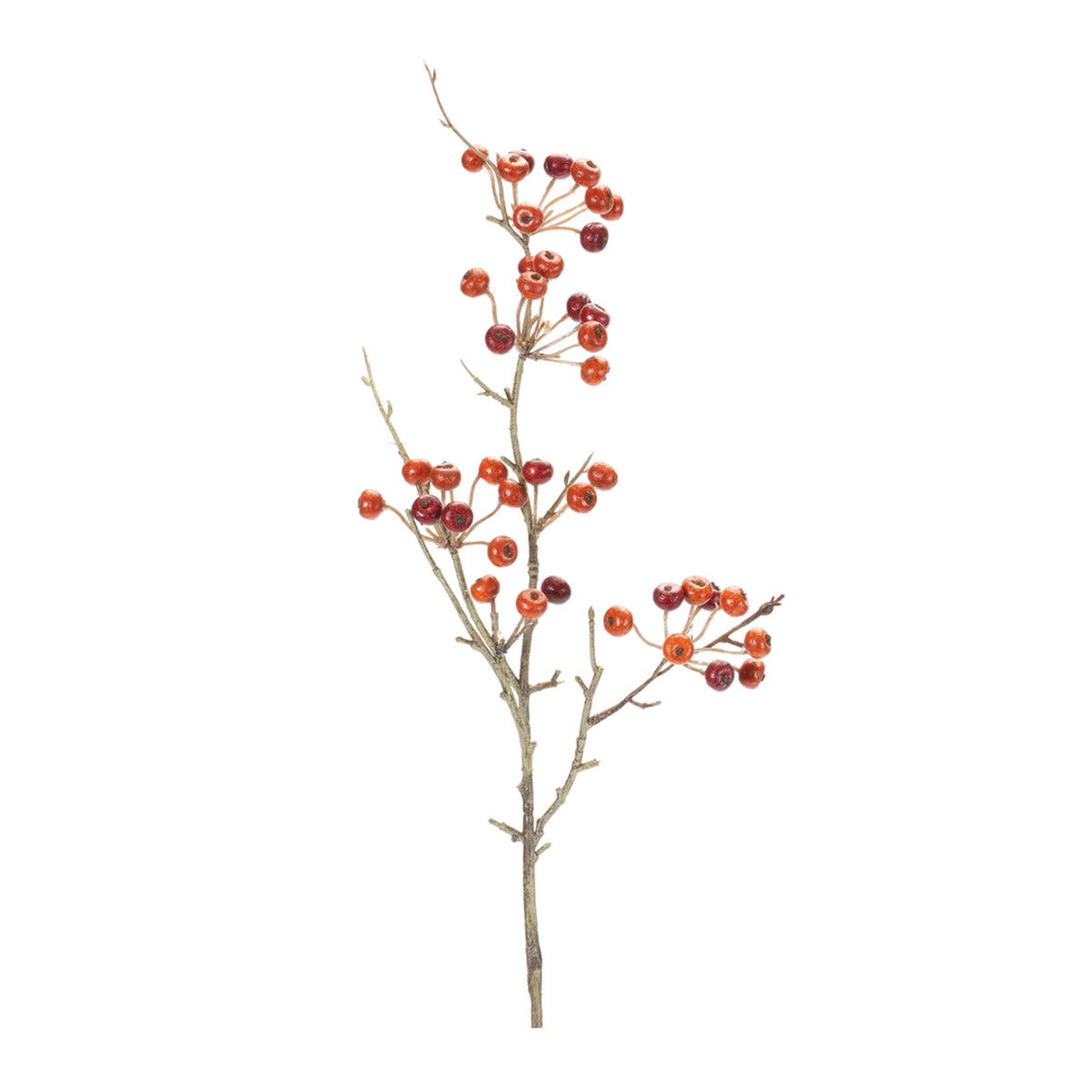 Berry Pod Spray (Set of 6) 26"H Foam/Plastic