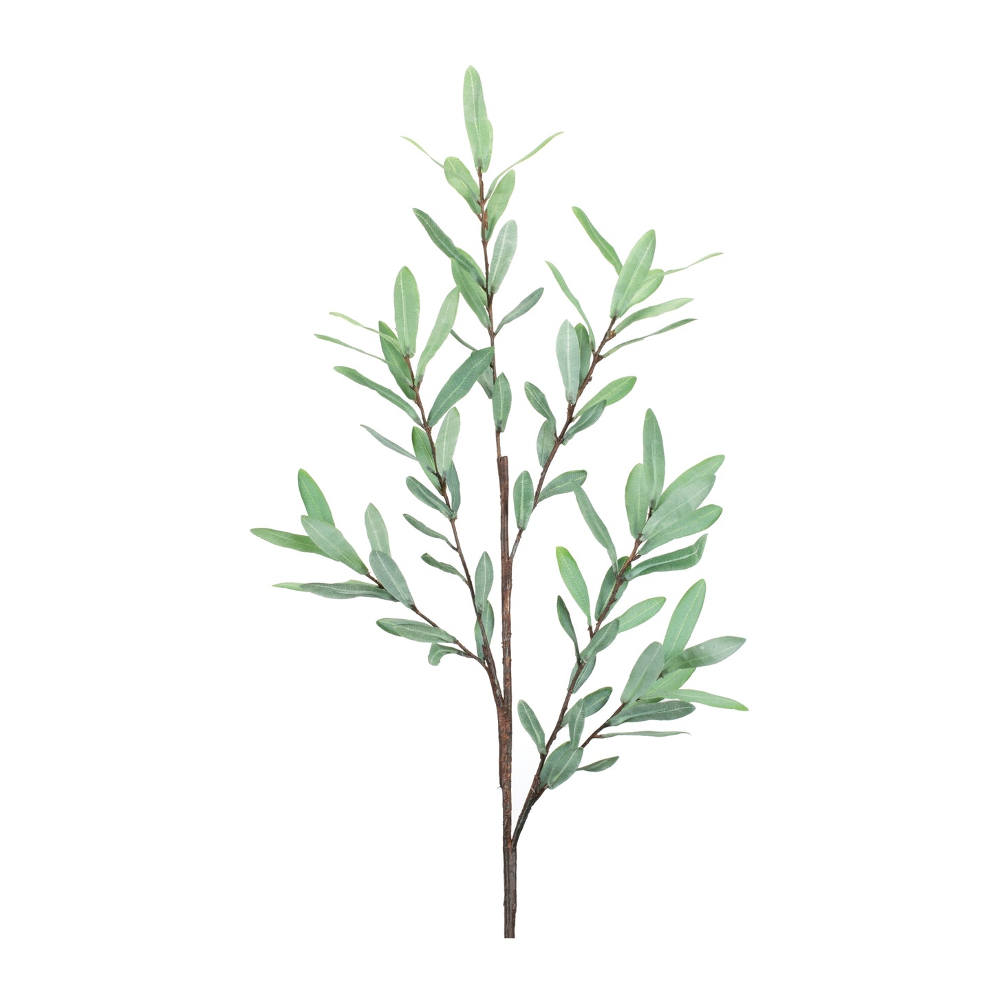 Olive Leaf Twig Branches (Set of 2)