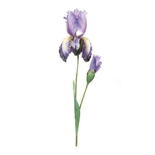 Iris Floral Stem (Set of 2)