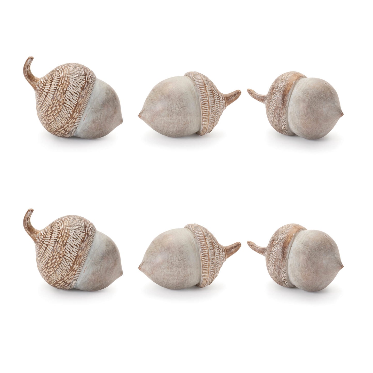 White Washed Etched Acorn (Set of 6)