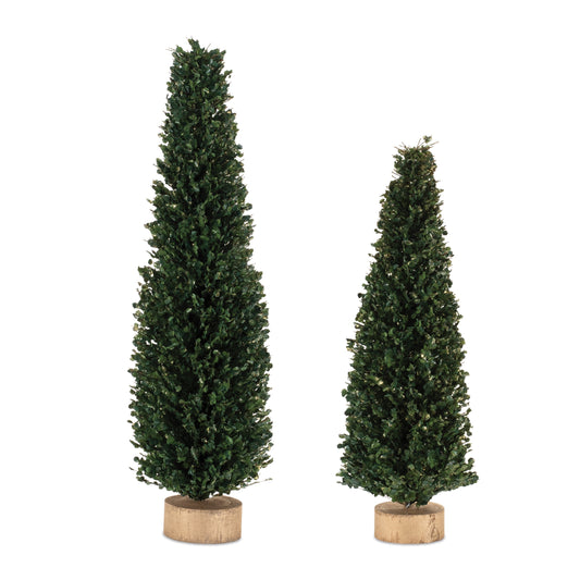 Glittered Boxwood Cone Tree (Set of 2)