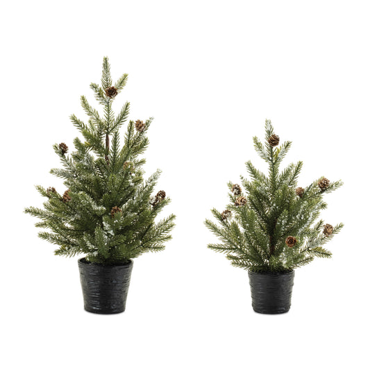 Potted Mini Pine Tree (Set of 2)