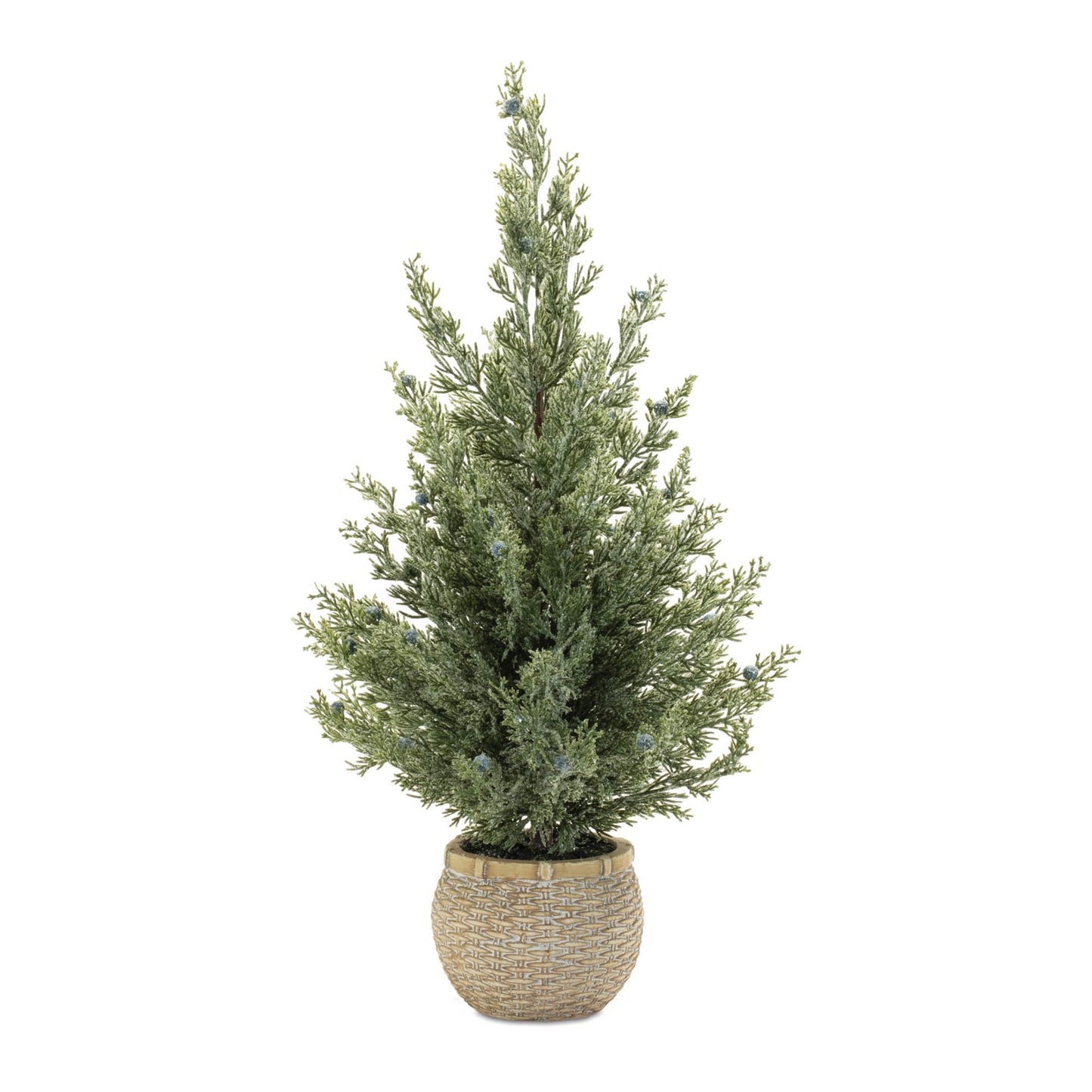 Potted Mini Pine Tree (Set of 2)