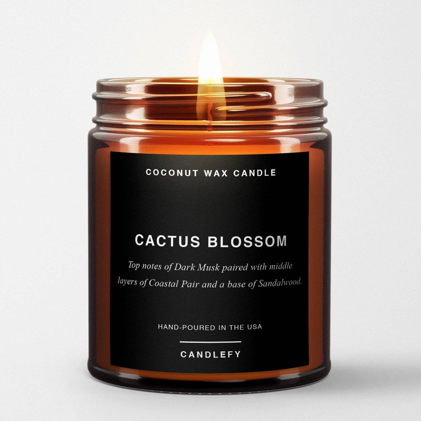 Cactus Blossom: Scented Candle