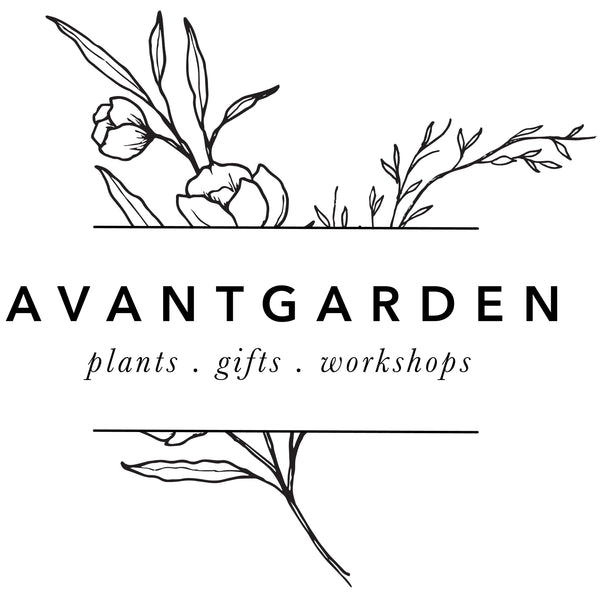 Avantgarden Nursery and Gifts