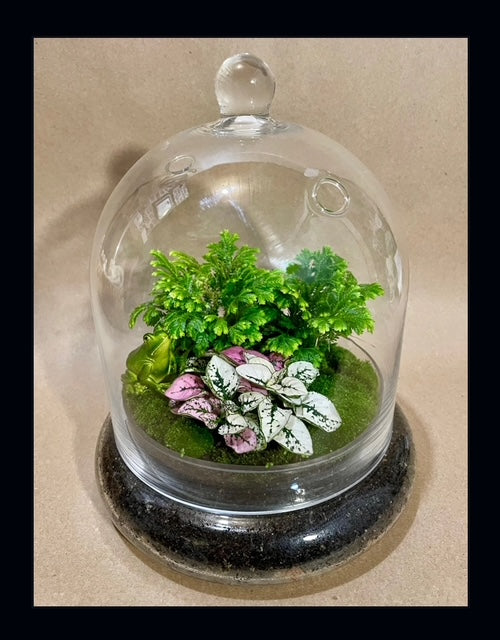 Terrarium Making Workshop 3/22@12N