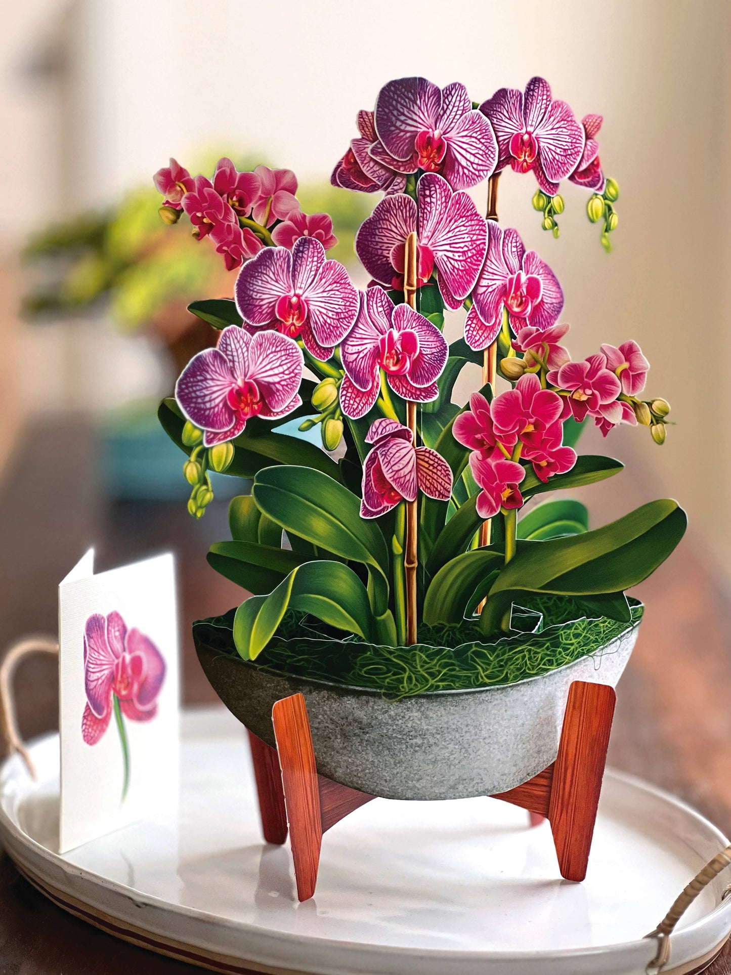 Orchid Oasis Popup Card