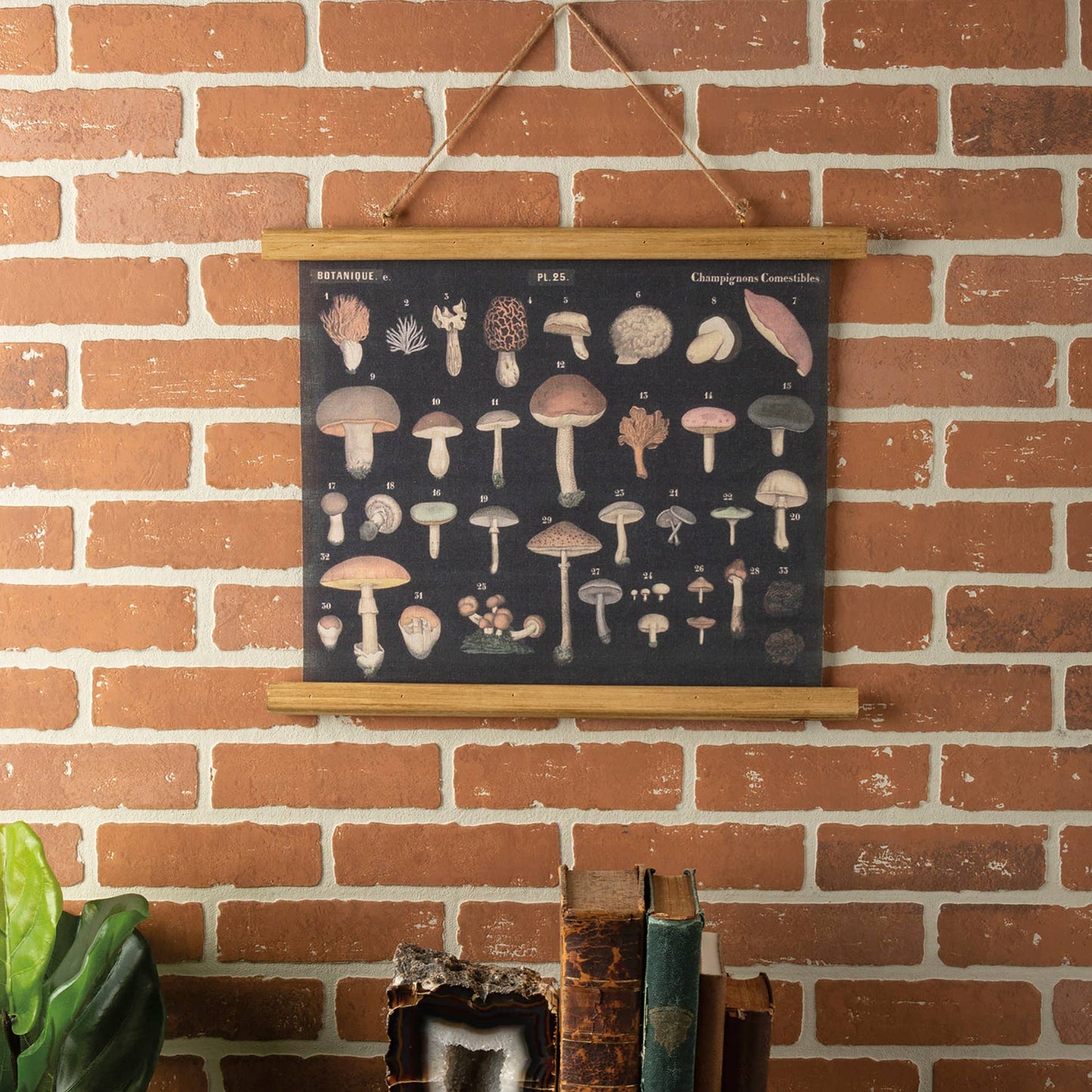 Mushrooms Wall Decor