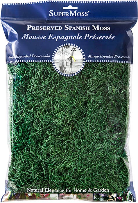 Preserved Spanish Moss- Hunter
