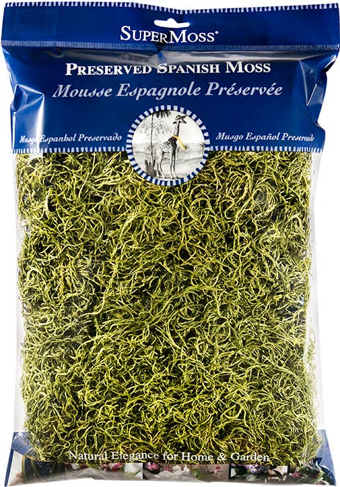 Preserved Spanish Moss- Chartreuse