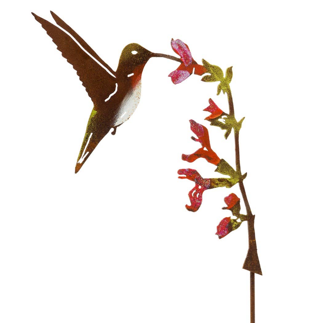 Hummingbird on Salvia Stake